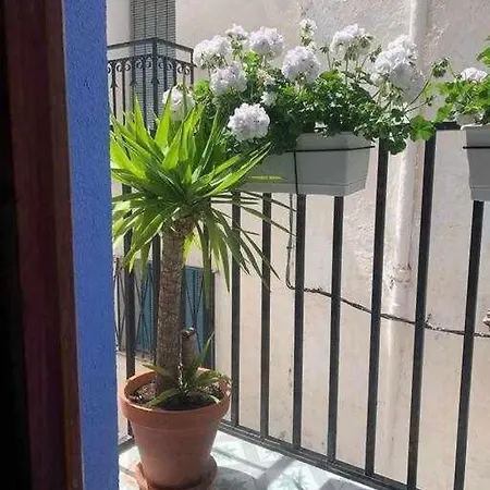 Appartement Casa Ziba Casco Antiguo Wifiaa *